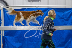 2024-3-10-May-Trial-349