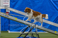 2024-3-10-May-Trial-350