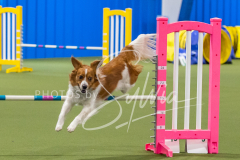 2024-3-10-May-Trial-351