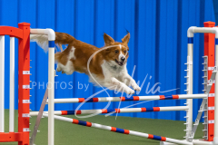 2024-3-10-May-Trial-352