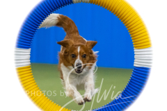 2024-3-10-May-Trial-353