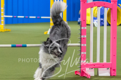 2024-3-10-May-Trial-354