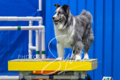 2024-3-10-May-Trial-356