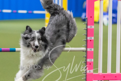 2024-3-10-May-Trial-357