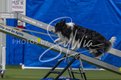 2024-3-10-May-Trial-360