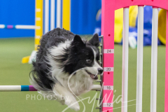 2024-3-10-May-Trial-361