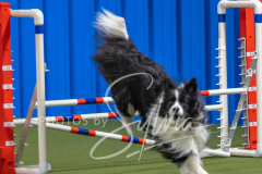 2024-3-10-May-Trial-362