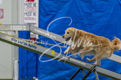 2024-3-10-May-Trial-364