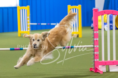 2024-3-10-May-Trial-365