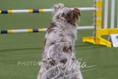 2024-3-10-May-Trial-368