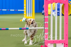 2024-3-10-May-Trial-369