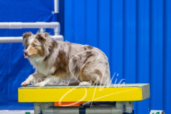 2024-3-10-May-Trial-370