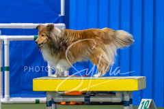 2024-3-10-May-Trial-372