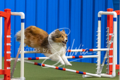 2024-3-10-May-Trial-374