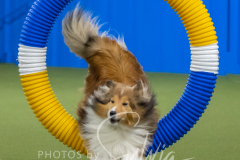 2024-3-10-May-Trial-375