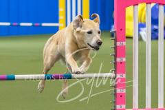 2024-3-10-May-Trial-376