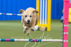 2024-3-10-May-Trial-377