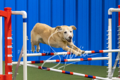 2024-3-10-May-Trial-378