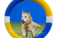 2024-3-10-May-Trial-379