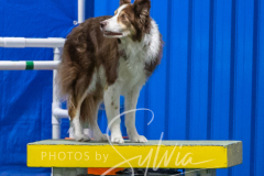 2024-3-10-May-Trial-383