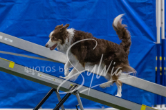 2024-3-10-May-Trial-384