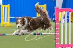 2024-3-10-May-Trial-385