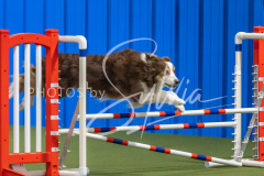 2024-3-10-May-Trial-386