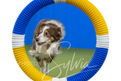 2024-3-10-May-Trial-387