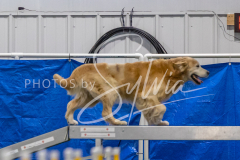 2024-3-10-May-Trial-389