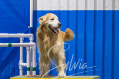 2024-3-10-May-Trial-390