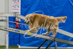 2024-3-10-May-Trial-391