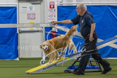 2024-3-10-May-Trial-392