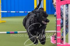 2024-3-10-May-Trial-394