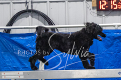 2024-3-10-May-Trial-395