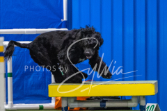 2024-3-10-May-Trial-396