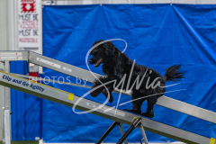 2024-3-10-May-Trial-397