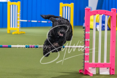 2024-3-10-May-Trial-398