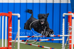 2024-3-10-May-Trial-399