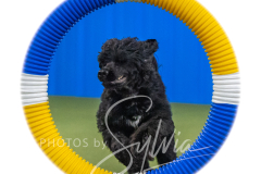 2024-3-10-May-Trial-400