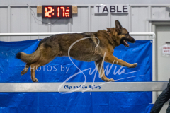 2024-3-10-May-Trial-401