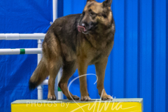 2024-3-10-May-Trial-402