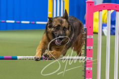 2024-3-10-May-Trial-403