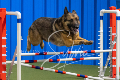 2024-3-10-May-Trial-404