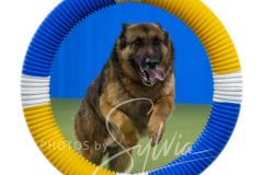 2024-3-10-May-Trial-405