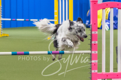 2024-3-10-May-Trial-406