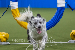 2024-3-10-May-Trial-407