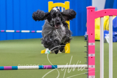 2024-3-10-May-Trial-408