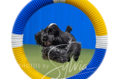 2024-3-10-May-Trial-410