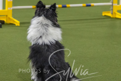 2024-3-10-May-Trial-411