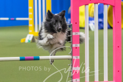 2024-3-10-May-Trial-412